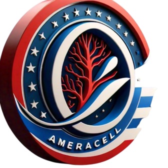 /2024-11-10-20241123035747_347872.png