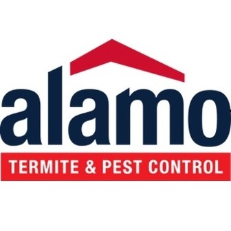 /alamo-termite_367431.jpg