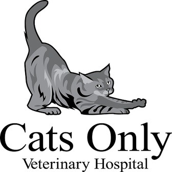 /cats-only-clinic_378069.jpg