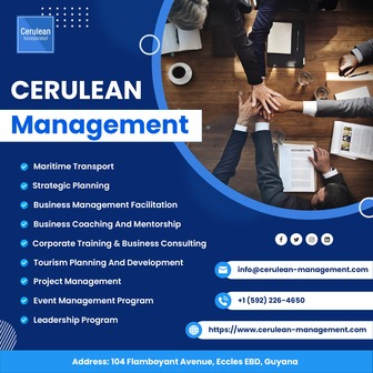 /cerulean-managment_337561.png