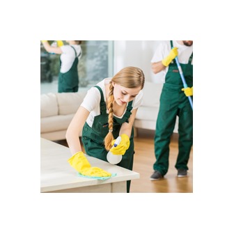 /cleaning-professional-florida_169838.png