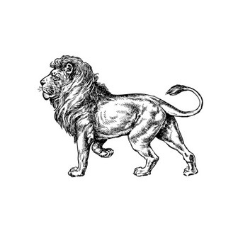 /companylogourl_370646.jpg