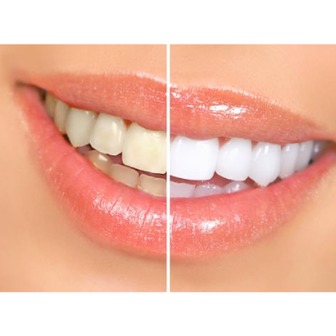 /companyphotourl1_351271.jpg