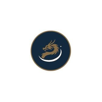 /dragonstone-group-logo_366098.jpg