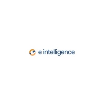 /eintelligenceweb-com_302004.jpg