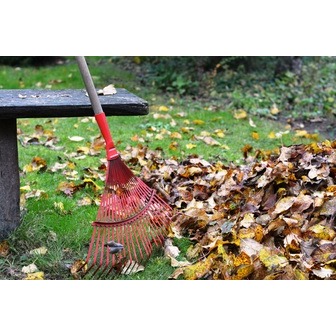 /junk-removal-service-near-me_365046.jpg