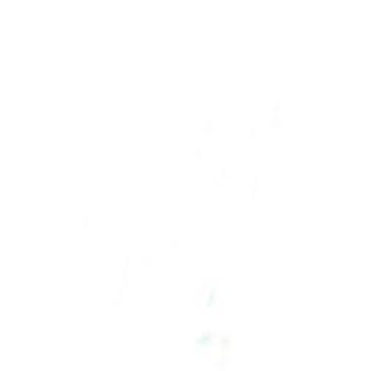 /logo-white_344824.jpg