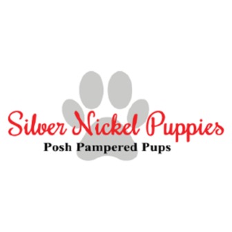 /logo_1531404096_cropped-silver-nickles-logo-1_367050.png
