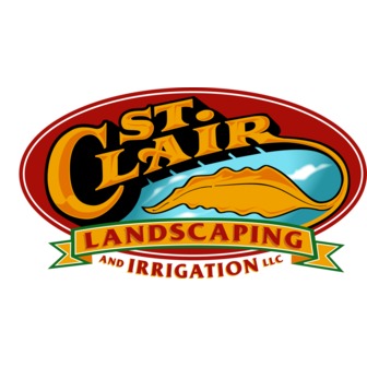 /logo_359727.png