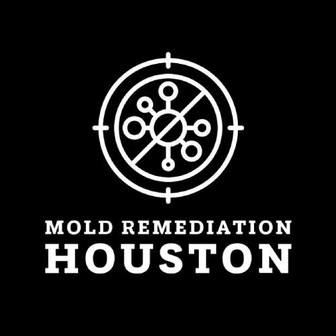 /mold-remediation-houston_355612.jpg