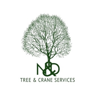 /n-d-tree-crane-services-logo_369439.jpg