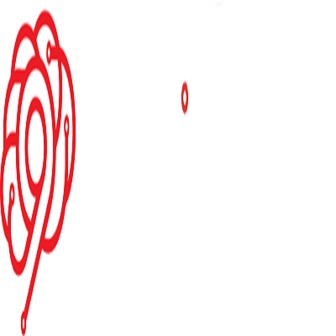 /nineminds_359558.png
