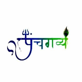 /panchgavya-logo_362942.jpeg