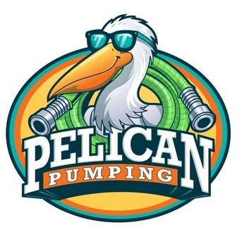 /pelican-pumping_370802.jpg