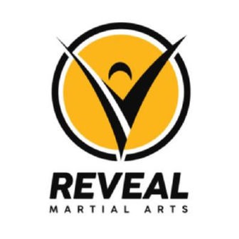 /reveal-martial-arts-southlake-66386119-la_345930.jpg