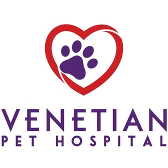 /venetian-logo_376828.jpg