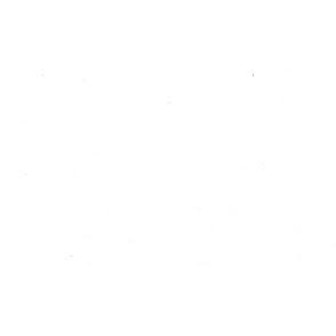 /white_373722.jpg