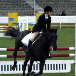 Show Jumping