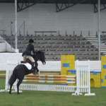 Show Jumping #2
