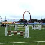 Across The Show Ring