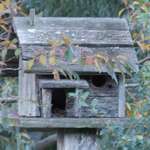 Bird House