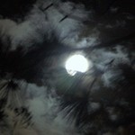 Full Moon 1 Feb 24