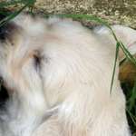 This Looks So Uncomfortable