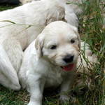 Just To Hot To Sleep