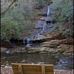 Tom Branch Falls in November