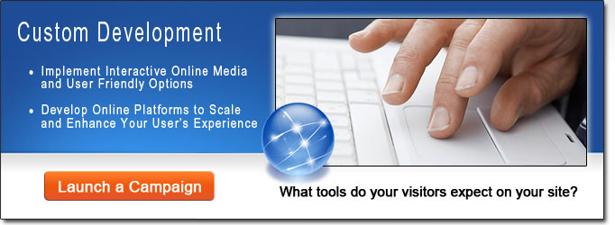 Custom Web Development