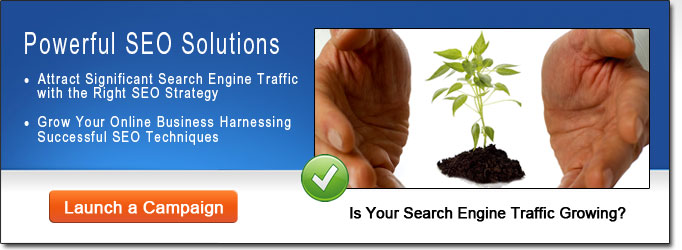 Search Engine Optimization (SEO)